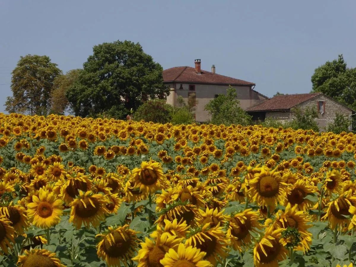 Holiday home Les Campsis Villa Saint-Antonin-Noble-Val France